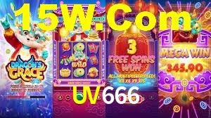 Premium Interface UV666